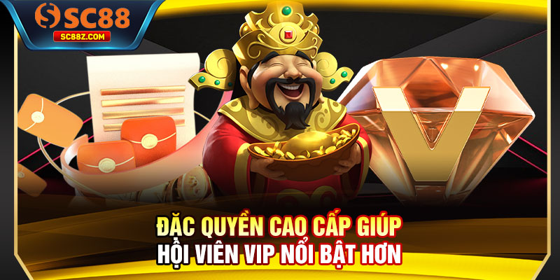 Đặc quyền cao cấp giúp hội viên VIP nổi bật hơn